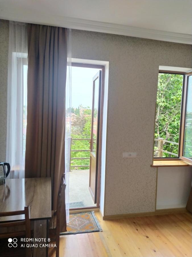 Guest House David Szenaki Kültér fotó