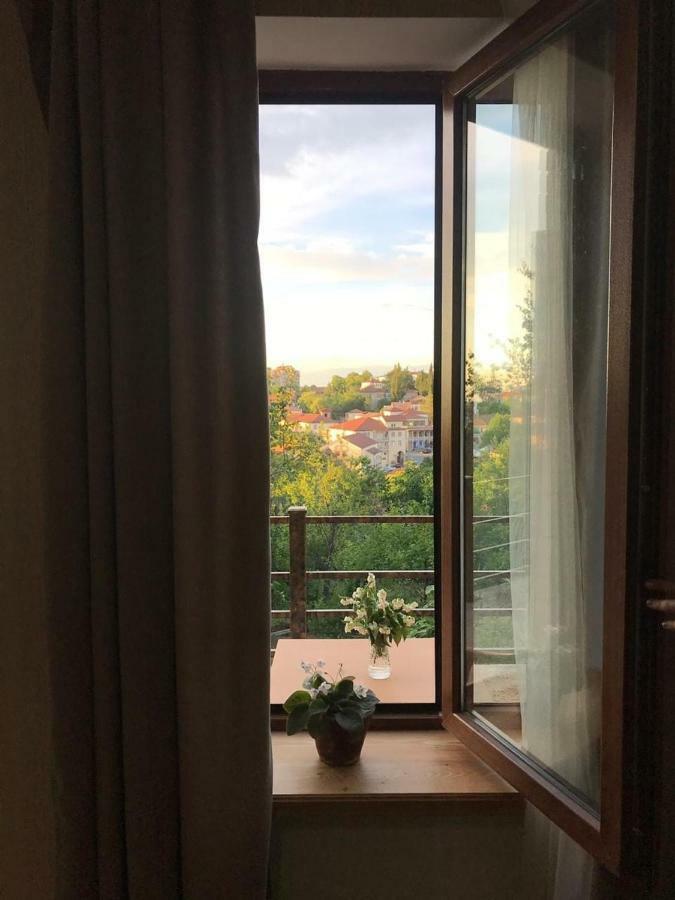 Guest House David Szenaki Kültér fotó